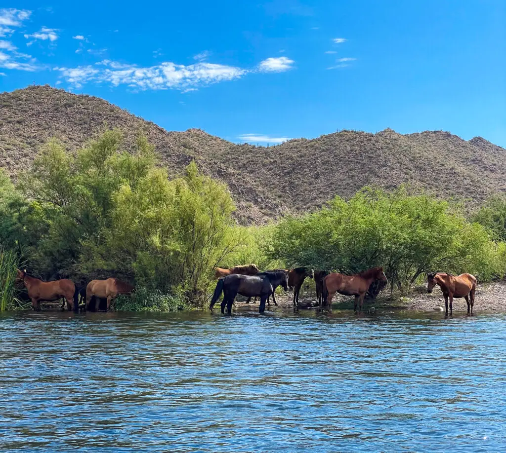 NakedAqua Top 5 Water Spots You Must Visit