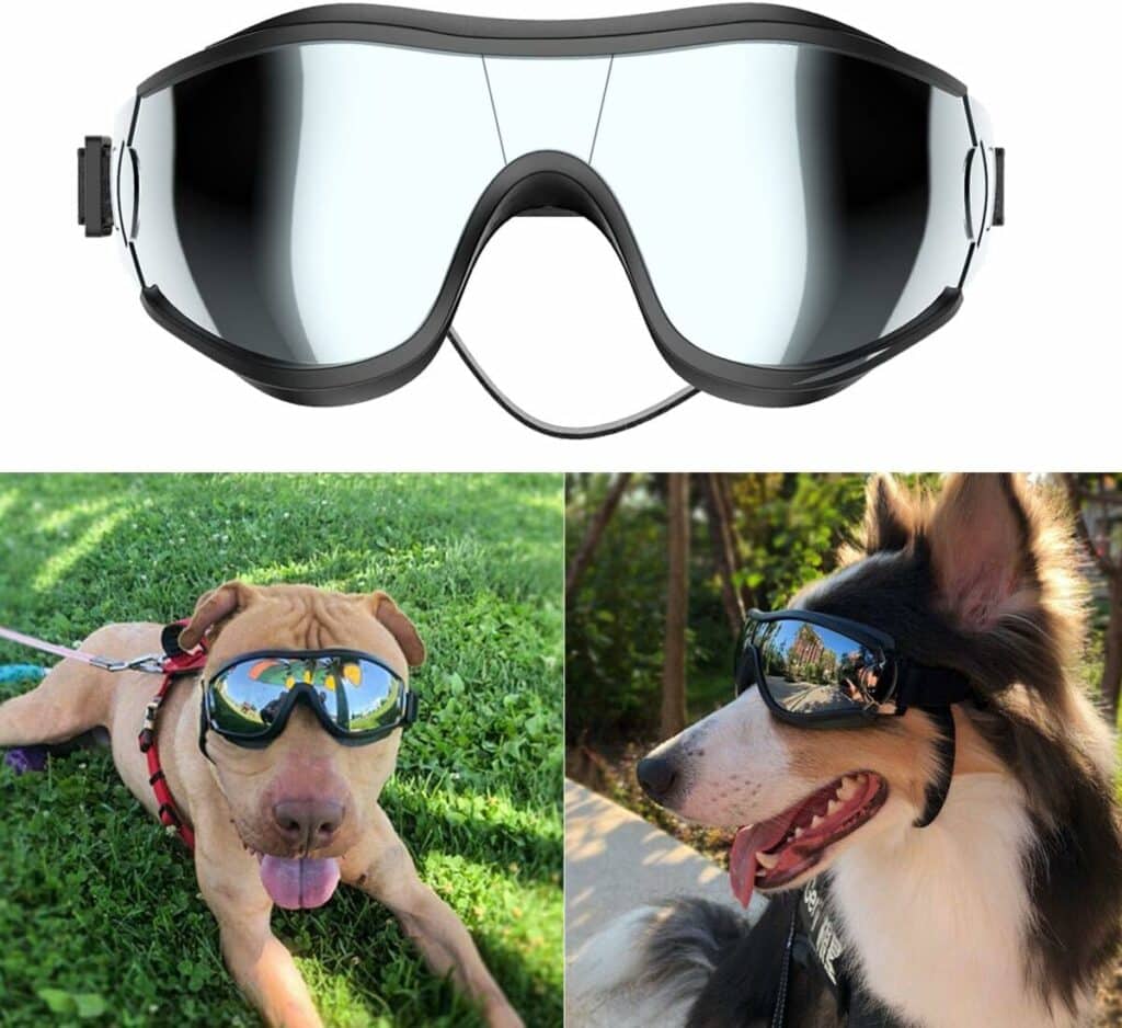 Naked Aqua SUP With Your Pup Doggles